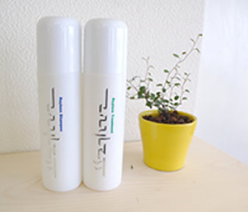 Rayless（レイラス）Shampoo&Treatment